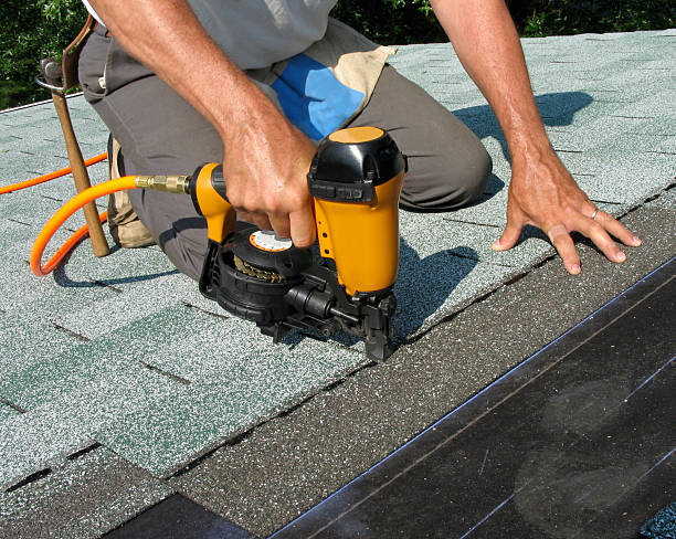 Best Roof Gutter Cleaning  in New Richmond, OH